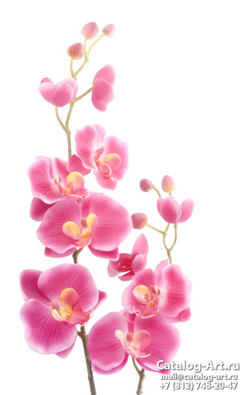 Натяжные потолки с фотопечатью - Розовые орхидеи 9